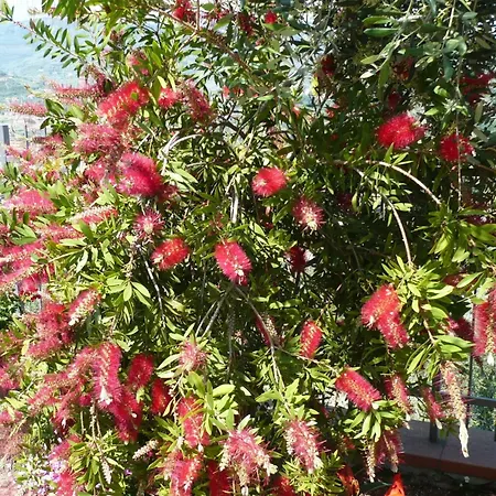 'red 5' Mit Blick Aufs Wasser By Interhome *